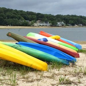 Meet your Posher, Alison